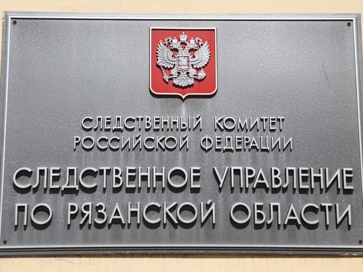 СК: в Рязанской области два брата похитили подростка