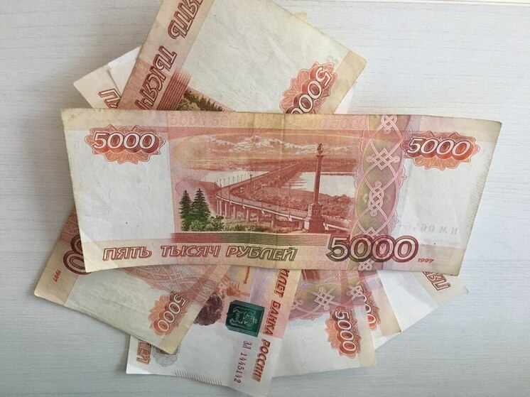 Экс-директор школы Воронежской области присваивала оплату за несуществующую работу