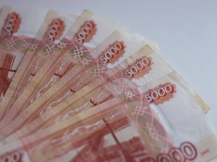 Ленэнерго потратит 1,47 млрд рублей на электроснабжение ВСМ в Петро-Славянке