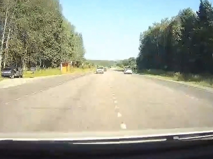 Водитель за рулем "Тойоты" в Судогде чуть не угробил собственную жену