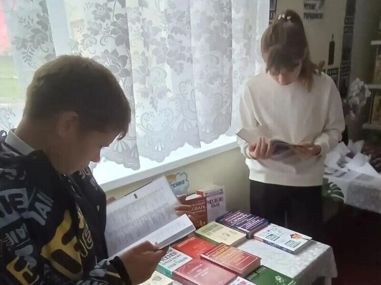 В библиотеке Скадовского округа провели День родного языка