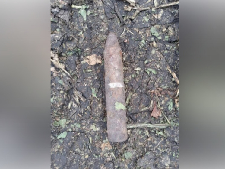 В Белгородской области обезвредили старый артснаряд