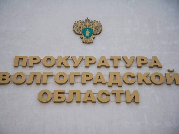 В Волгограде прокуратура защитила право ребенка на алименты после смерти матери