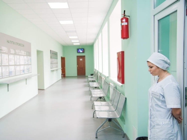 Клещи продолжают представлять опасность для жителей Волгоградской области