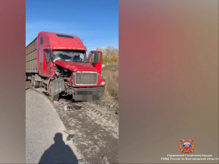 В Старом Осколе трактор не пропустил грузовик: есть пострадавший