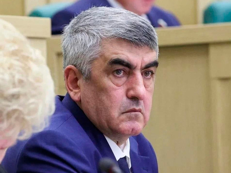 Герой России Эседулла Абачев будет представлять ЛНР в Совете Федерации