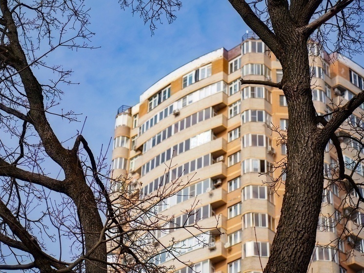 Власти Щекинского района купят 9 квартир в новостройках за 51 млн рублей