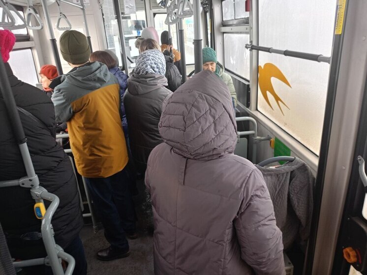В Пензе с 1 ноября увеличат количество автобусов и рейсов на маршруте №93