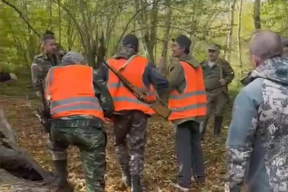 В Кабардино-Балкарии создали оперативную группу, чтобы следить за медведями