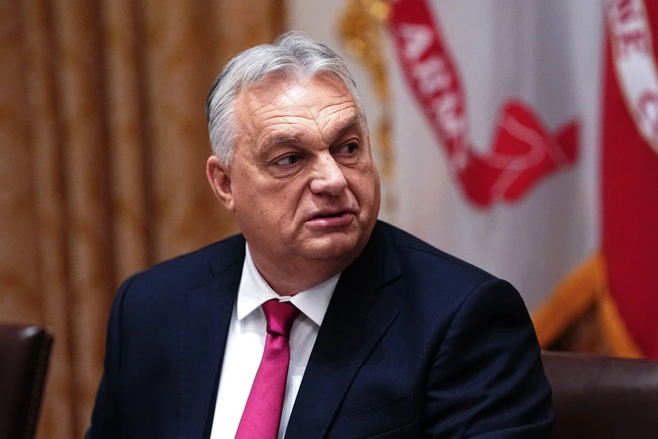 Киевский режим испугался Орбана: от страха глава МИД Украины посмел "гавкнуть"