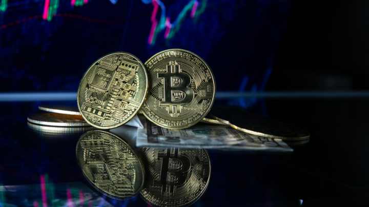 Более ста россиян потеряли сотни миллионов рублей на криптоплатформе Yoko