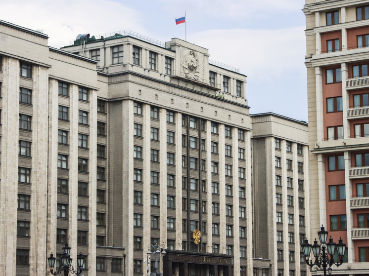 Депутат Госдумы сравнил критику Швеции в адрес Финляндии с ссорой в коммуналке