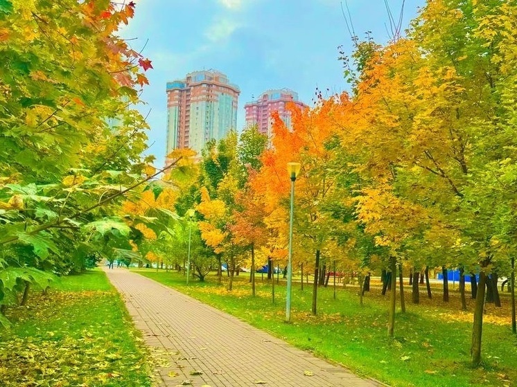Ночные заморозки во Владимире сменятся дневным теплом