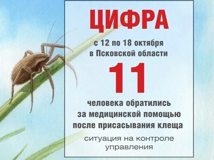 Почти 2,5 тысячи псковичей пострадали от укусов клещей за сезон