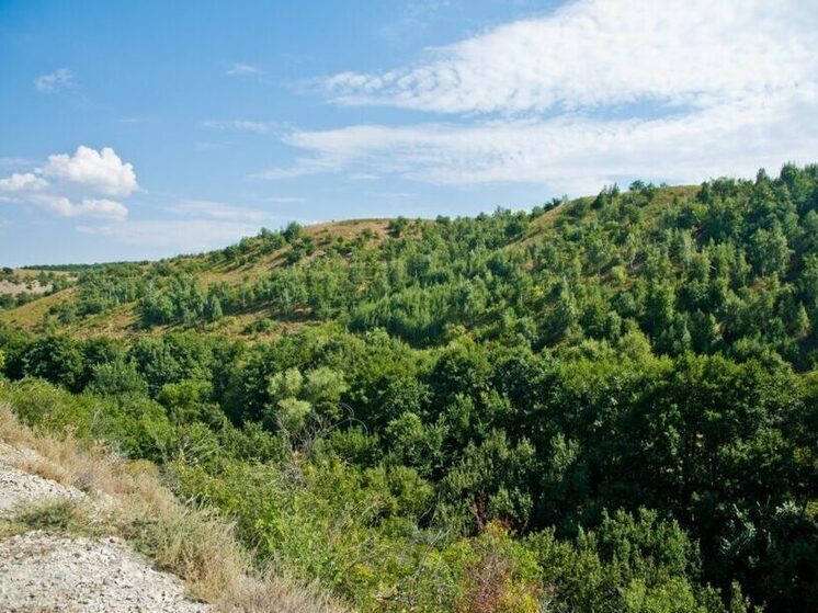 В Волгоградской области 55 организаций присоединились к экологическому челленджу