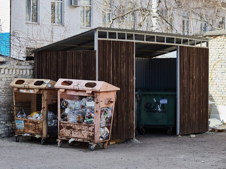 В Пензе после жалобы на вывоз мусора руководителю регионального оператора назначили штраф