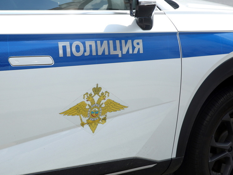 Мужчина ударил саперной лопатой водителя, перекрывшего въезд во двор