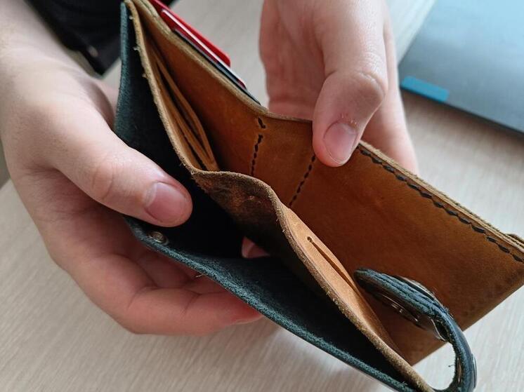 МВД: в Сочи задержали няню за кражу 150 тысяч рублей из сейфа 