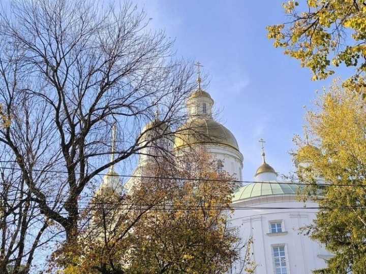 Пензенский священник объяснил, как избавиться от привычки ругаться
