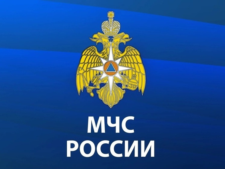 Спасатели МЧС и Росгвардии тренируются десантироваться с вертолёта Ми-8