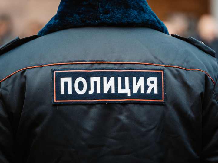 Под Тверью в машине у браконьера нашли мясо лосей и шкуру медведя