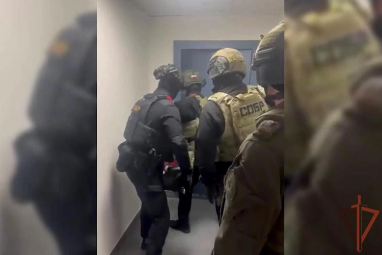 В Санкт-Петербурге при содействии СОБР Росгвардии пресечена деятельность подпольного банка (видео)