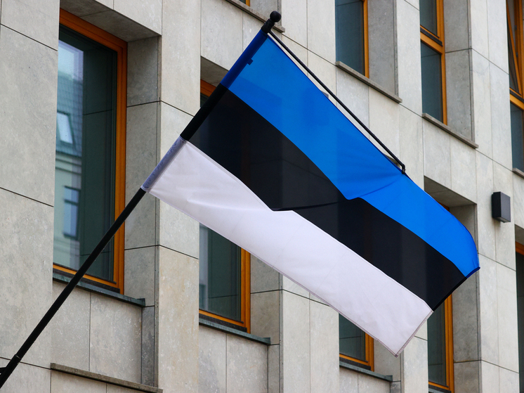 В Эстонии потребовали объяснить чрезмерные расходы на конференцию по Украине