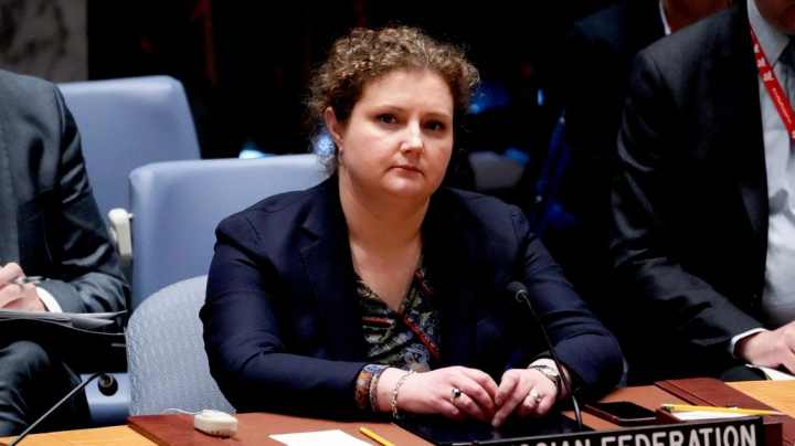 Евстигнеева: Россия надеется на отражение темы о роли Африки в СБ ООН