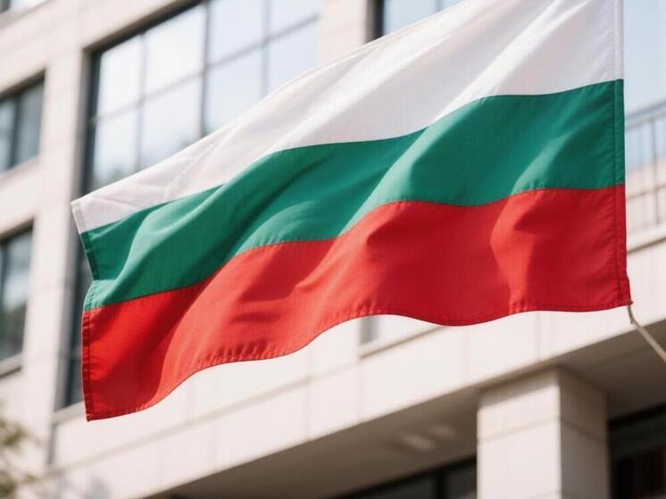 Стало известно, кто выходит во второй тур выборов президента Болгарии
