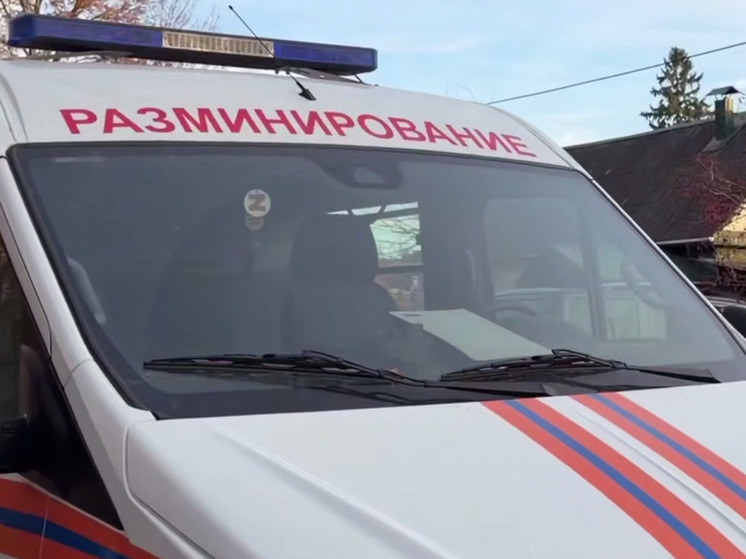 В регионе РФ закупят дроны и оружие для дистанционного разминирования