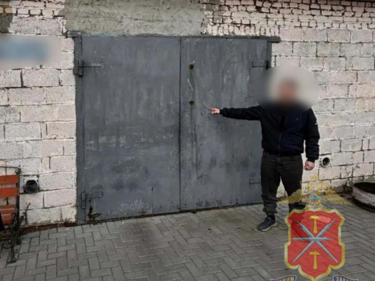 Серпуховской вор обчистил гаражи в Тульской области