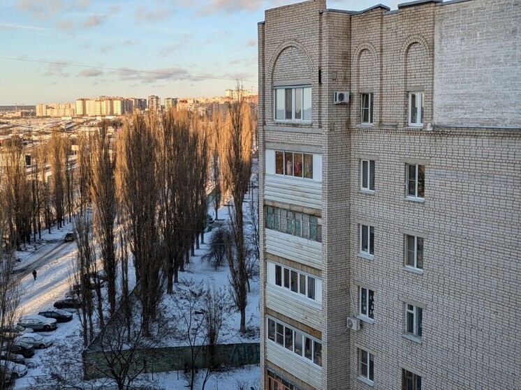 Воронежцам назвали дату первого снега