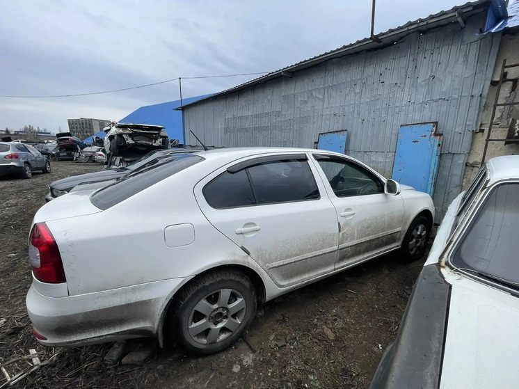 В Антраците «Шкоду Октавию» пьяного водителя отправят на СВО