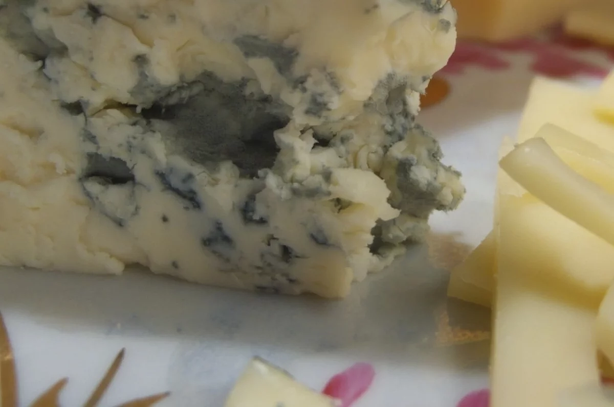 Врач Помойнецкая объяснила, почему нельзя есть плесневелые продукты
