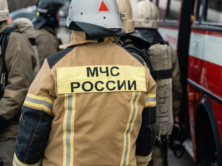 Врачи и спасатели: рязанцы назвали самые благородные профессии
