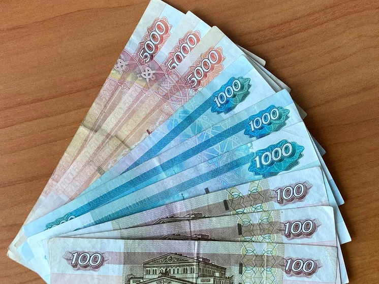 В 2026 году почти 4 тыс. рязанских семей получили пособие при рождении ребёнка