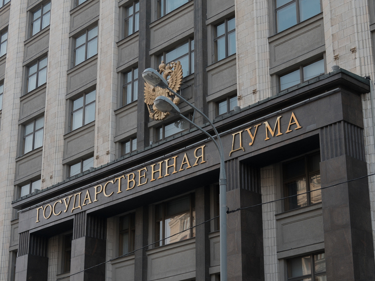 В Госдуме назвали причину атаки на московские аэропорты