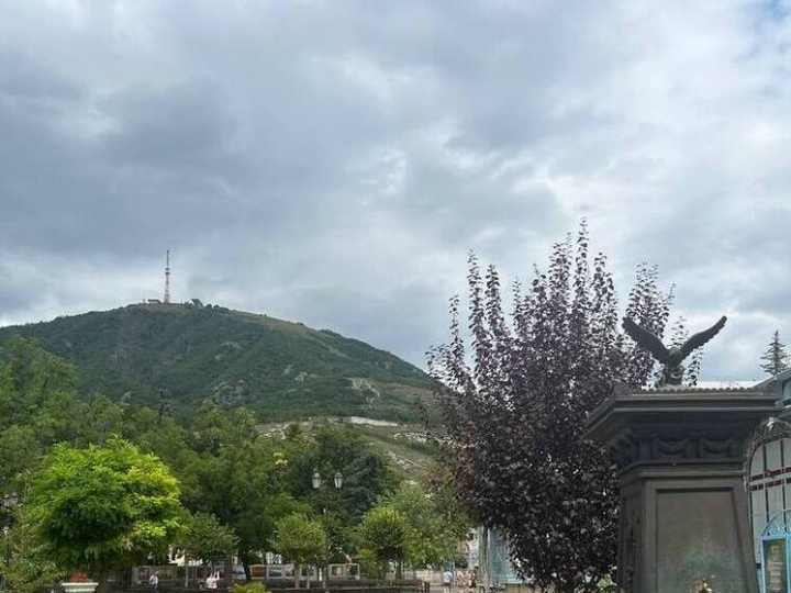 В Пятигорске изъятых у фотографов орлов отправили в центр «Пеликан»