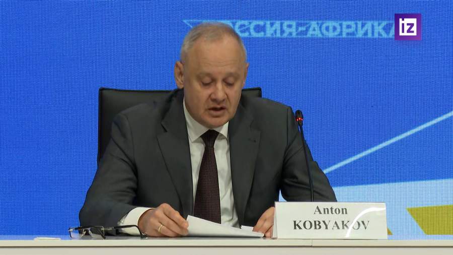 Кобяков заявил, что новая борьба за влияние в Африке в самом разгаре