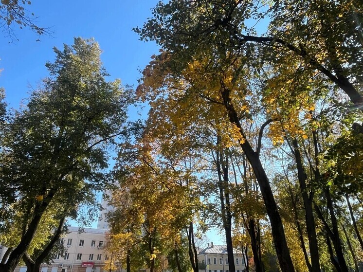 Синоптики рассказали, какой будет погода в Липецкой области в понедельник