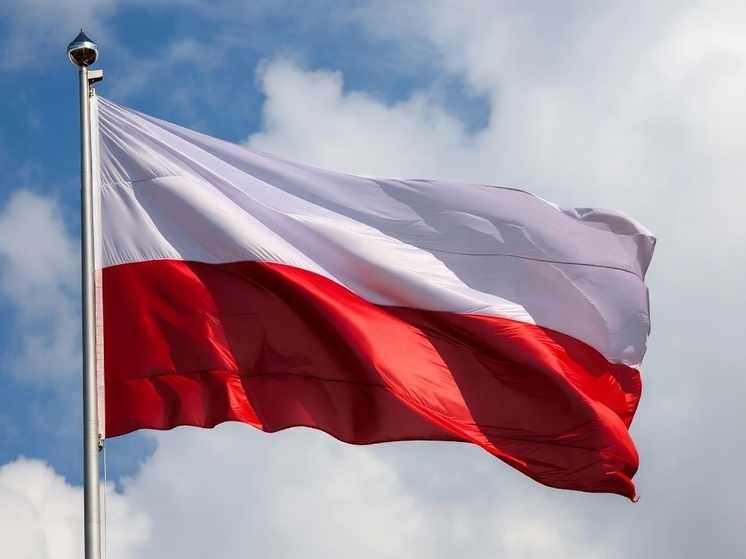 Польша нацелилась на ядерное оружие США и Франции