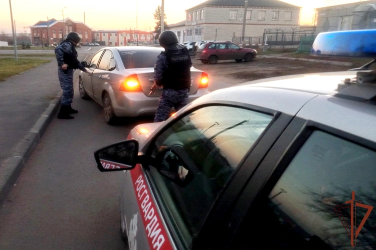 В Зауралье экипаж вневедомственной охраны Росгвардии помог задержать угонщика автомобиля
