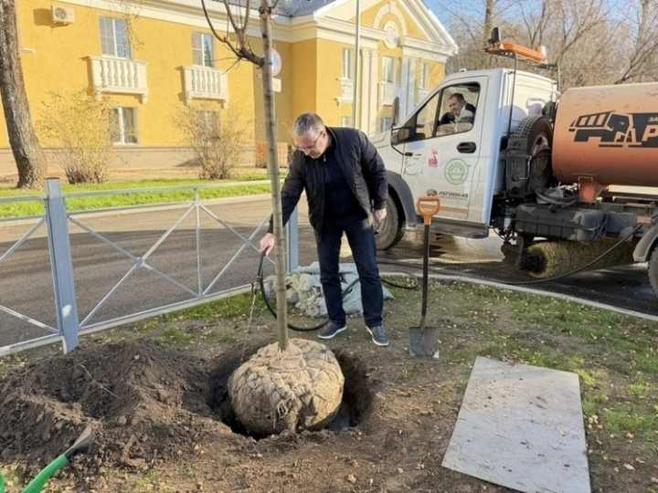 Калуга возвращает зелень бульвару Чичерина