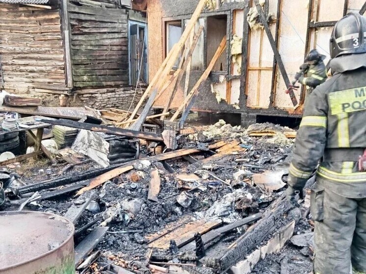 В Воронеже в СНТ «Дон» тушили крупный пожар
