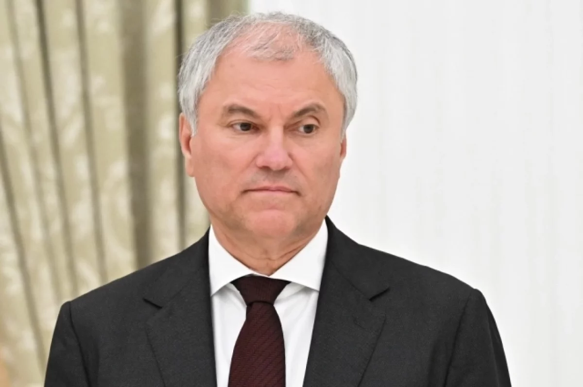 Володин возложил венок к месту кремации Ганди в Нью-Дели