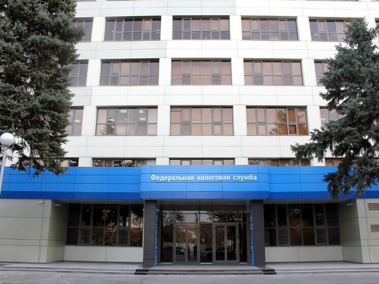 Волгоградским компаниям и ИП нужно отчитаться в налоговую до 26 октября