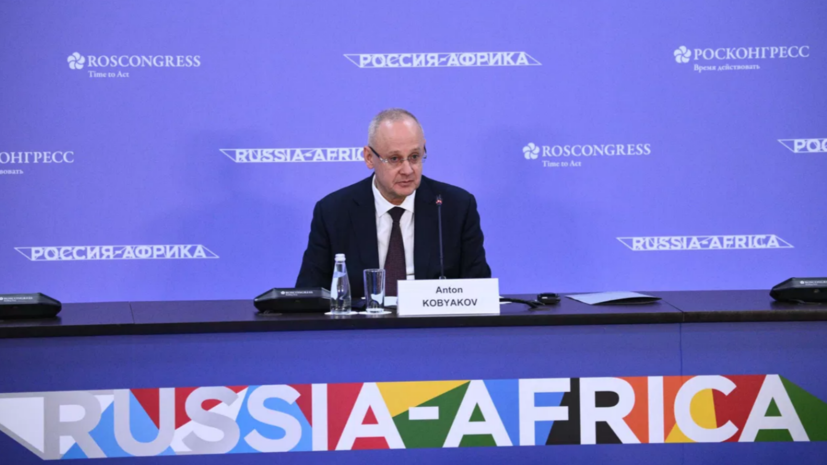 Кобяков заявил о новой волне борьбы за влияние в Африке