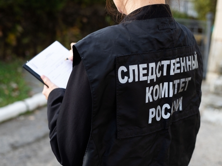 В Чувашии за дачу взятки задержан директор дорожно-строительной организации