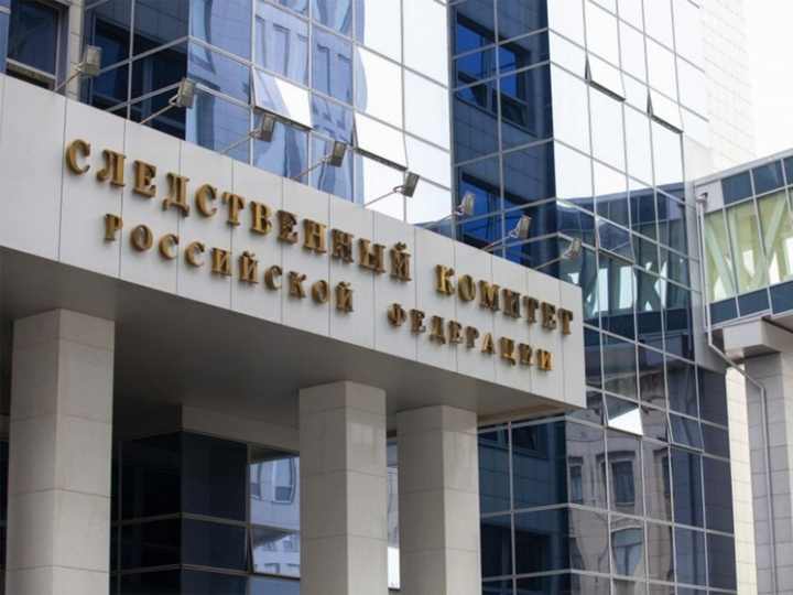 СК проверит изъятие 4 детей у нижегородки после конфликта с мужем