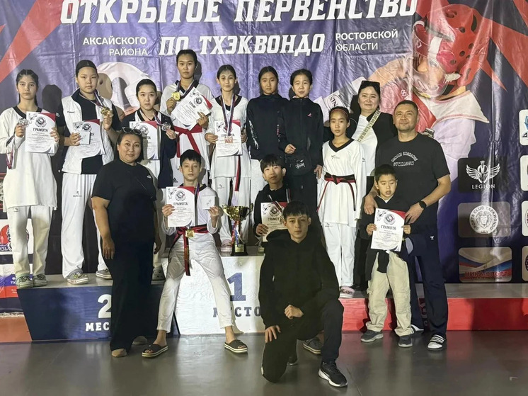 Калмыцкие тхэквондисты успешно выступили на соревнованиях в Ростовской области